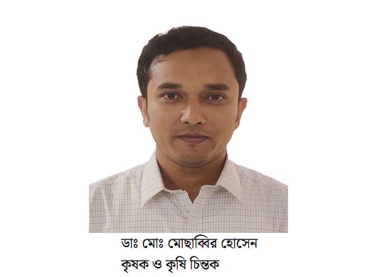 বাংলাদেশের গ্রামীণ অর্থনীতির বিবর্তন: বাণিজ্যিক কৃষির উত্থান ও সম্ভাবনা